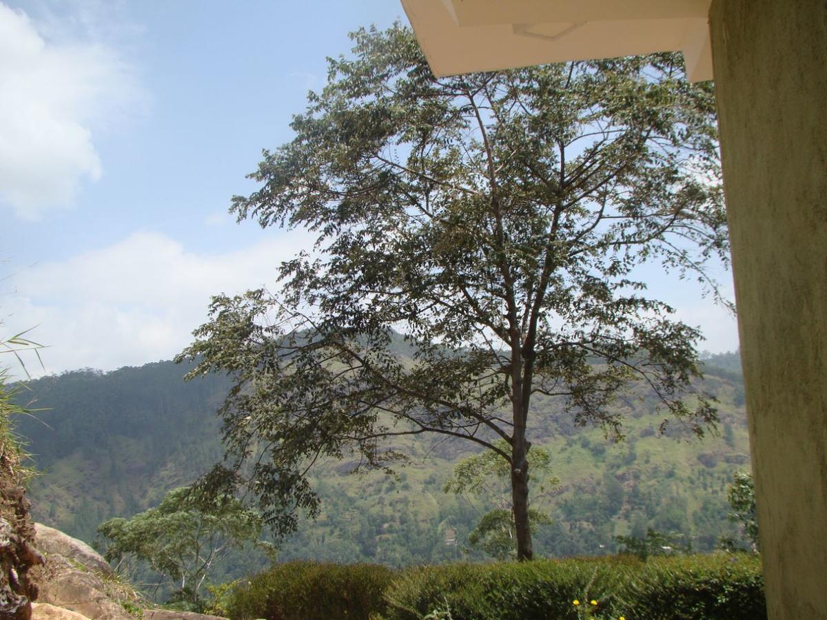 Ella Hotel Upper Hill Dış mekan fotoğraf
