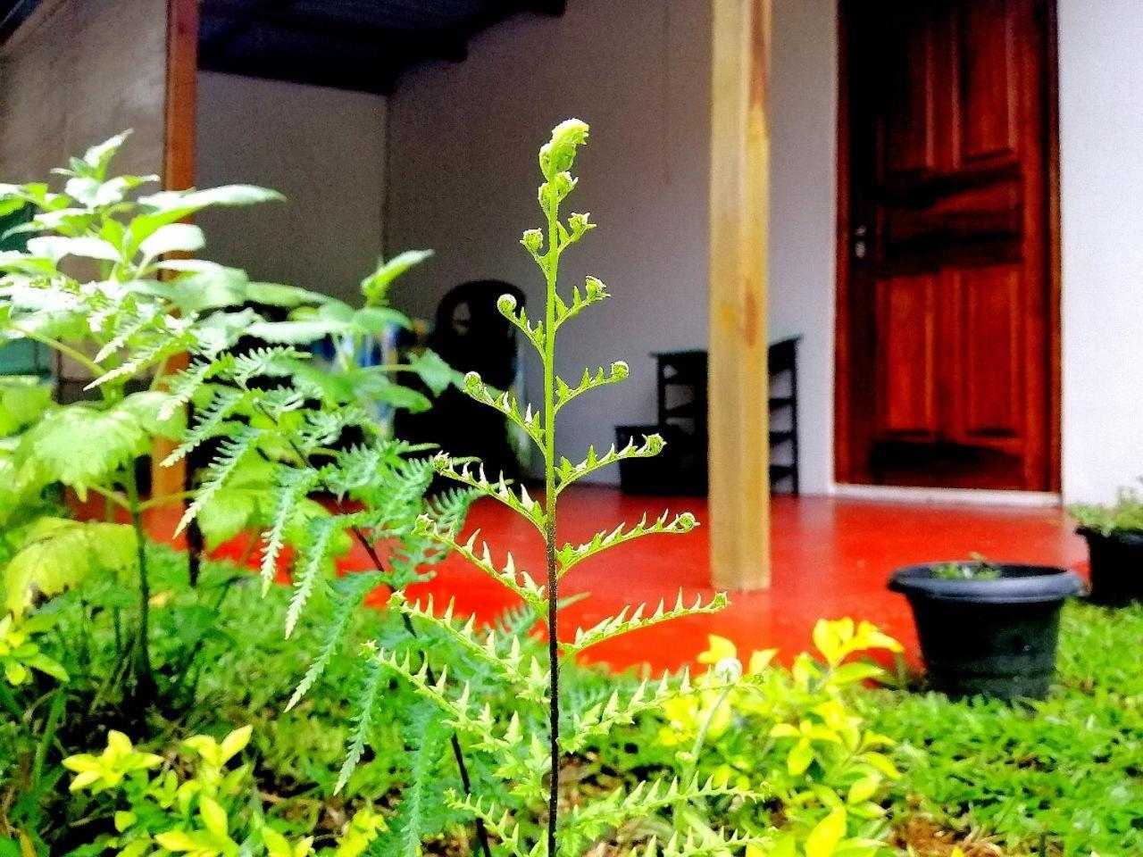 Ella Hotel Upper Hill Dış mekan fotoğraf
