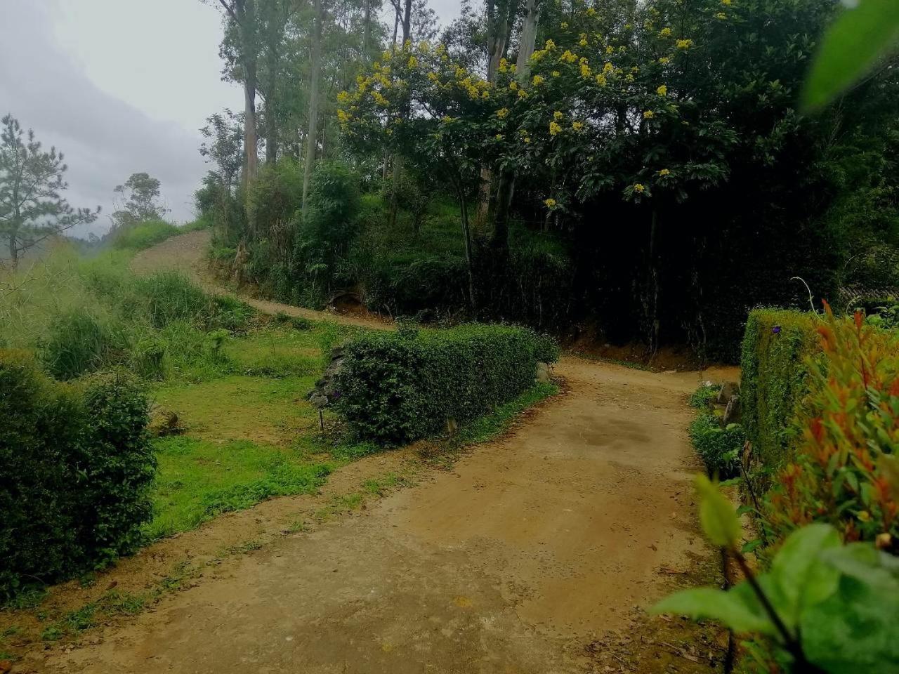 Ella Hotel Upper Hill Dış mekan fotoğraf